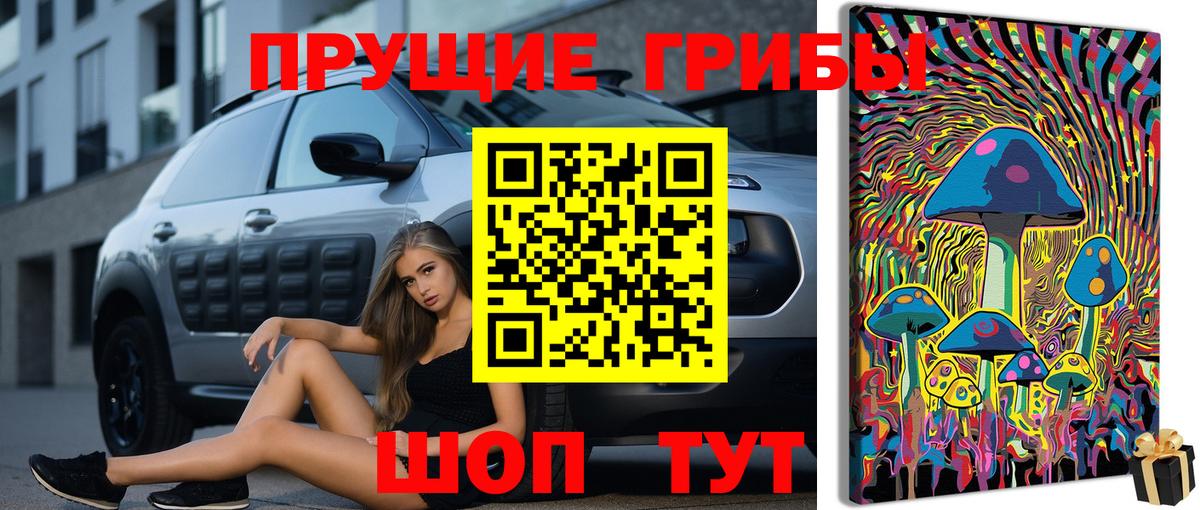 Псилоцибиновые грибы мухоморы Сунжа